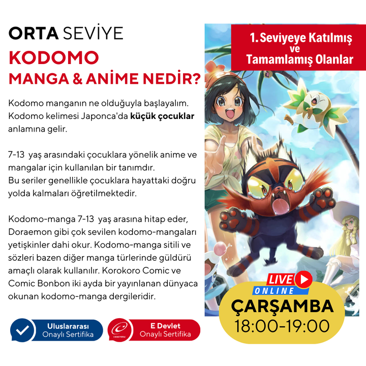 Kodomo Manga & Anime Çizimi  (7-13 Yaş)- Orta Seviye