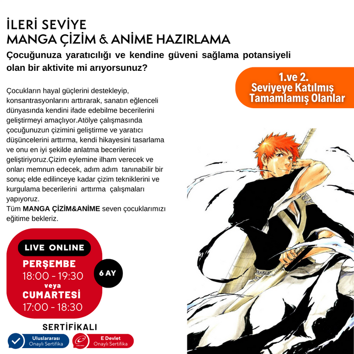 Manga Çizim ve Anime Hazırlama (İleri Seviye)(10-16 Yaş)