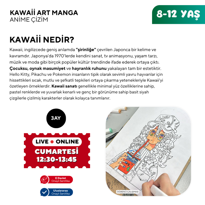 Kawaii Art Çizim  (8-12 Yaş)