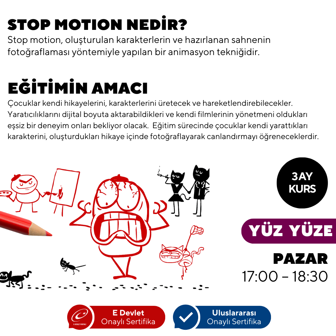 Stop Motion Eğitimi (11-16 Yaş)- Yüz Yüze