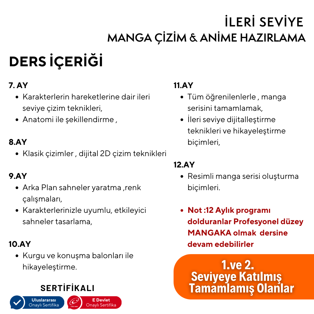 Manga Çizim ve Anime Hazırlama (İleri Seviye)(10-16 Yaş)