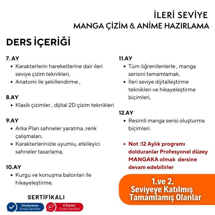 Manga Çizim ve Anime Hazırlama (İleri Seviye)(10-16 Yaş)