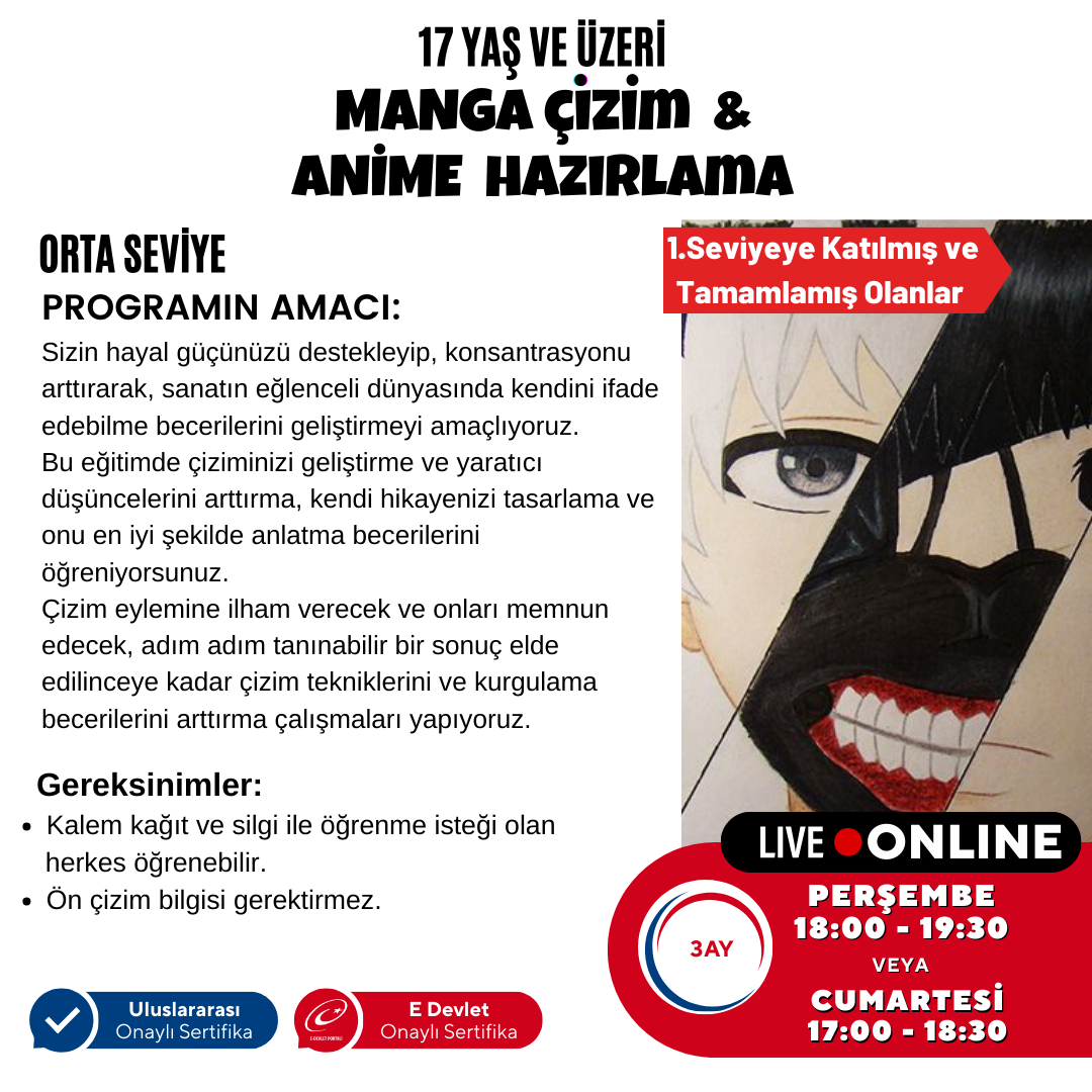 Manga Çizim ve Anime Hazırlama (Orta Seviye)(17 Yaş ve Yetişkin)