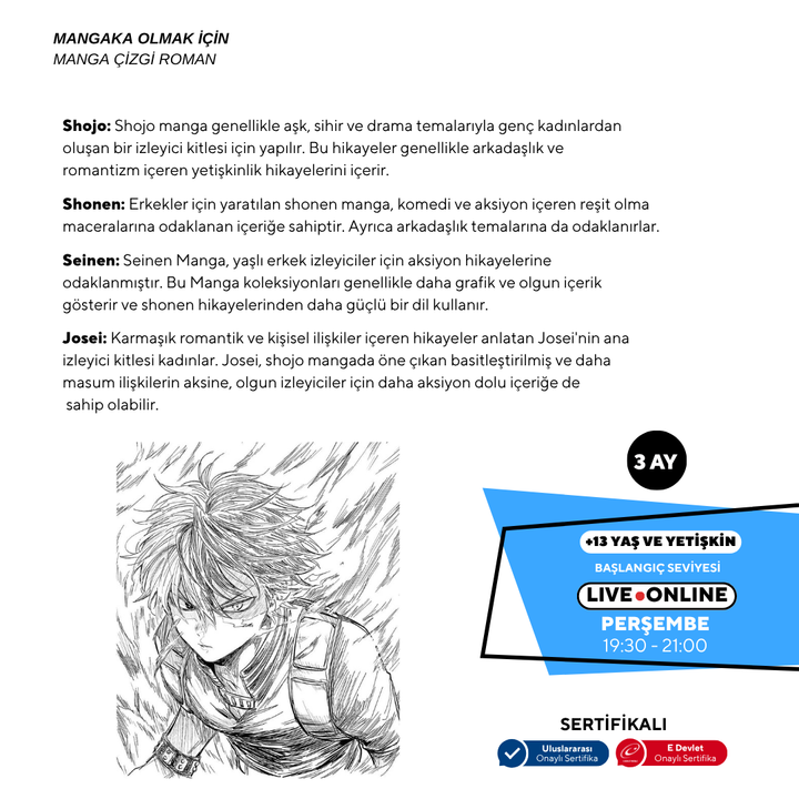 Mangaka Olmak için Japon Çizgi Roman (MANGA) Storyboard