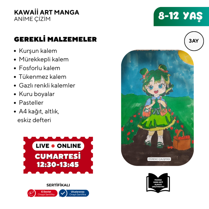Kawaii Art Çizim  (8-12 Yaş)