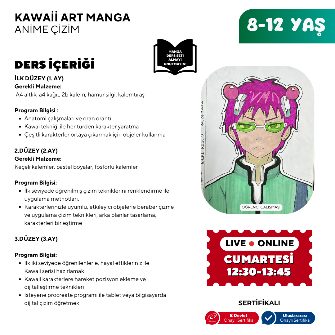 Kawaii Art Çizim  (8-12 Yaş)